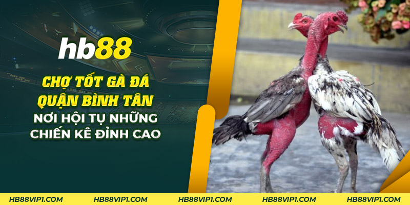 25 cho tot ga da quan binh tan noi hoi tu nhung chien ke dinh cao