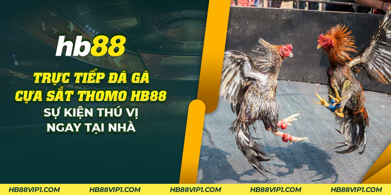 27 truc tiep da ga cua sat thomo hd88 su kien thu vi ngay tai nha