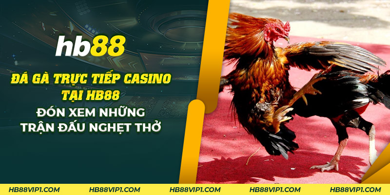 29 da ga truc tiep casino tai hd88 don xem nhung tran dau nghet tho