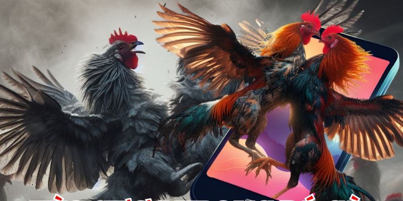 Đá gà trực tiếp casino HB88: Đón xem những trận gà kịch tính 3 Các loại hình đá gà trực tiếp casino đầy hấp dẫn