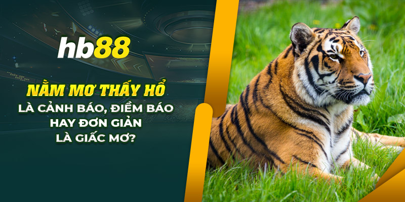 Nằm mơ thấy hổ: Cảnh báo, điềm báo hay chỉ là giấc mơ? 1 11 nam mo thay ho la canh bao diem bao hay don gian la giac mo
