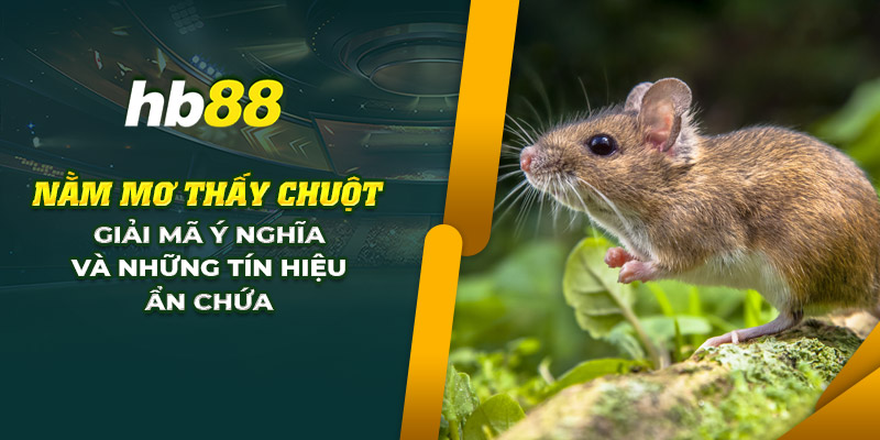 Nằm mơ thấy chuột: Giải mã ý nghĩa và những tín hiệu ẩn chứa 1 15 nam mo thay chuot giai ma y nghia va nhung tin hieu an chua