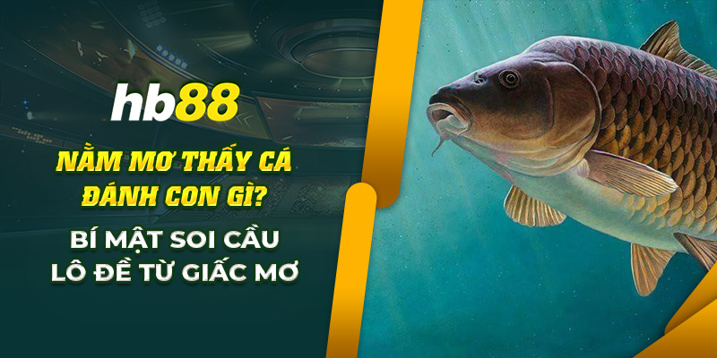 Nằm mơ thấy cá đánh con gì? Giải mã lô đề từ giấc mơ này! 6 hb88