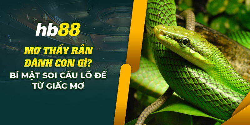 Mơ thấy rắn, đánh số nào trúng lớn? Bí mật lô đề siêu đỉnh! 3 2 mo thay ran danh con gi bi mat soi cau lo de tu giac mo