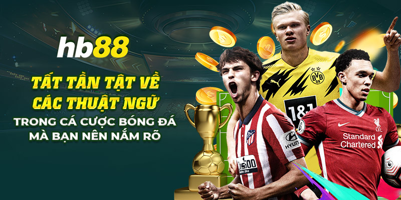 23 tat tan tat ve cac thuat ngu trong ca cuoc bong da ma ban nen nam ro