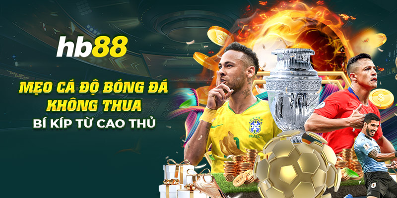 Mẹo cá độ bóng đá không thua: Kinh nghiệm từ cao thủ 2 9 meo ca do bong da khong thua bi kip tu cao thu