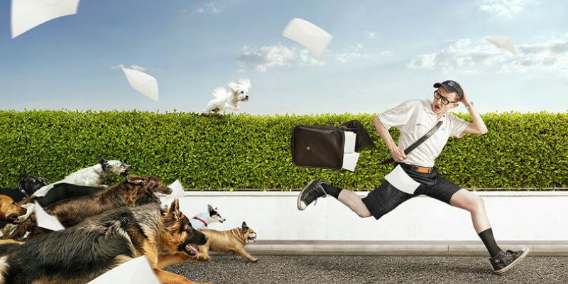 Nằm mơ thấy chó cắn: Con số may mắn nên đánh trong lô đề 2 Luận giải nằm mơ thấy chó cắn theo từng trường hợp cụ thể