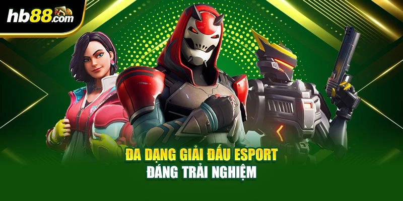 Esport Là Gì – Sân Chơi Thể Thao Điện Tử Hấp Dẫn Tại HB88 4 Đa dạng giải đấu esport đáng trải nghiệm