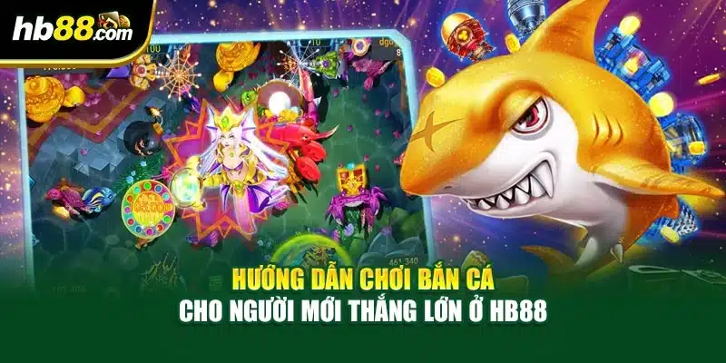 Hướng dẫn Chơi Bắn Cá Cho Người Mới Thắng Lớn Ở HB88 8 Hướng dẫn Chơi Bắn Cá Cho Người Mới Thắng Lớn Ở HB88