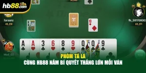 Phỏm Tá Lả - Cùng HB88 Nắm Bí Quyết Thắng Lớn Mỗi Ván